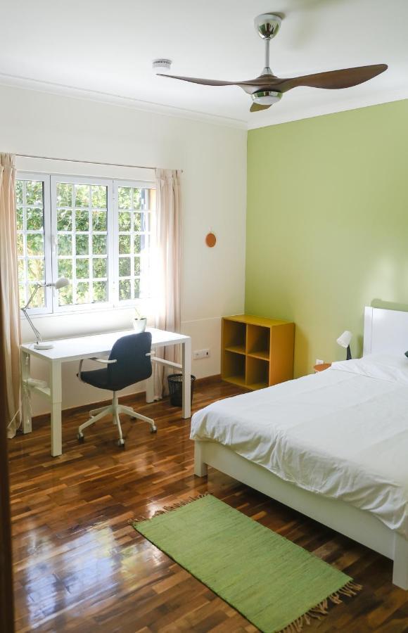 Lava Acores Coliving & Coworking Ribeira Grande Εξωτερικό φωτογραφία