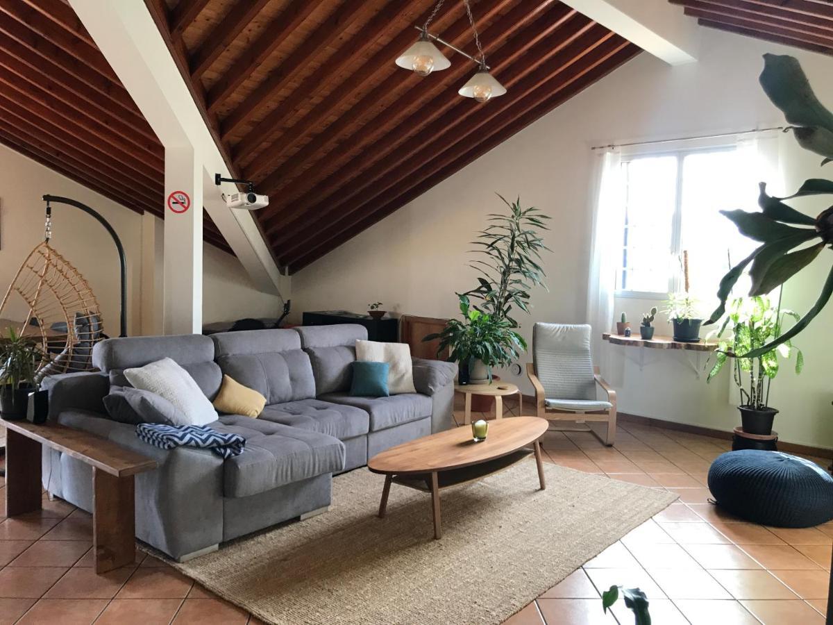 Lava Acores Coliving & Coworking Ribeira Grande Εξωτερικό φωτογραφία