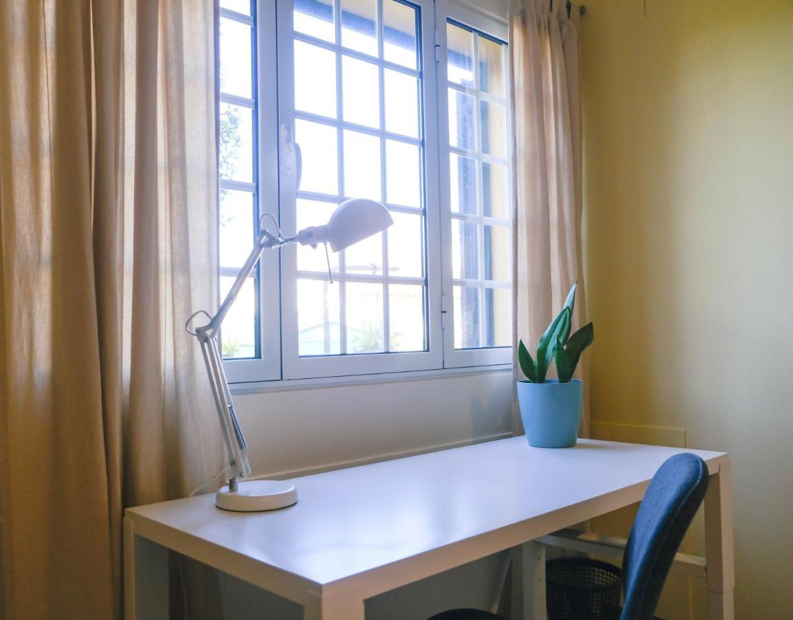 Lava Acores Coliving & Coworking Ribeira Grande Εξωτερικό φωτογραφία