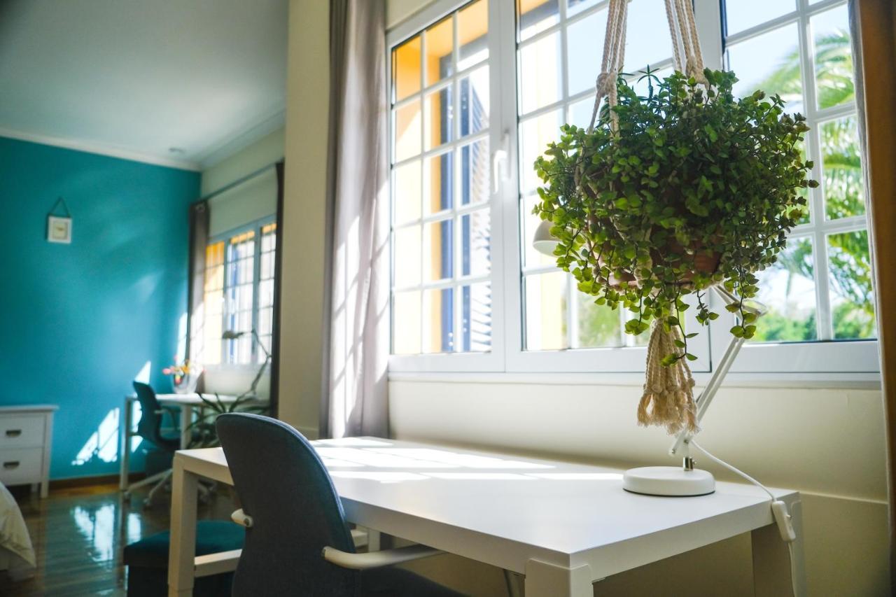 Lava Acores Coliving & Coworking Ribeira Grande Εξωτερικό φωτογραφία