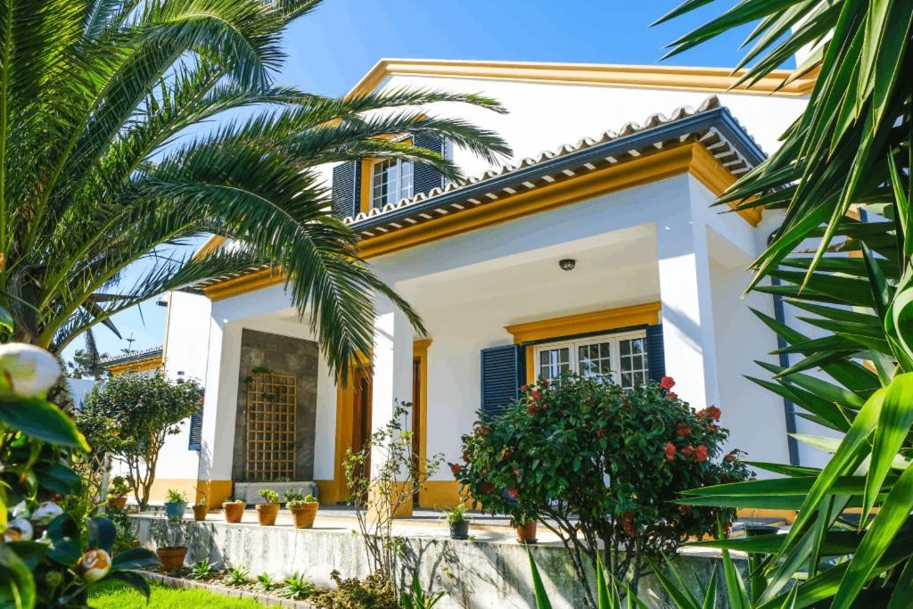 Lava Acores Coliving & Coworking Ribeira Grande Εξωτερικό φωτογραφία