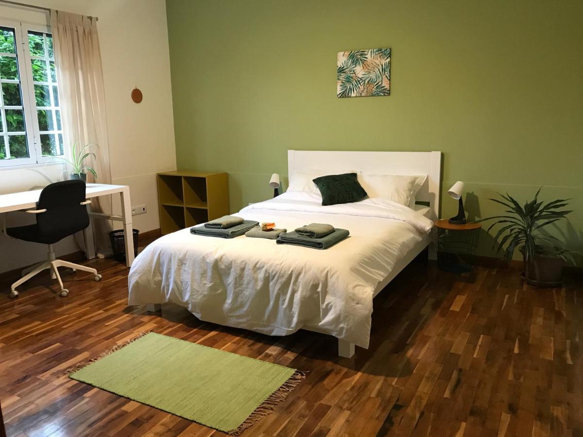 Lava Acores Coliving & Coworking Ribeira Grande Εξωτερικό φωτογραφία
