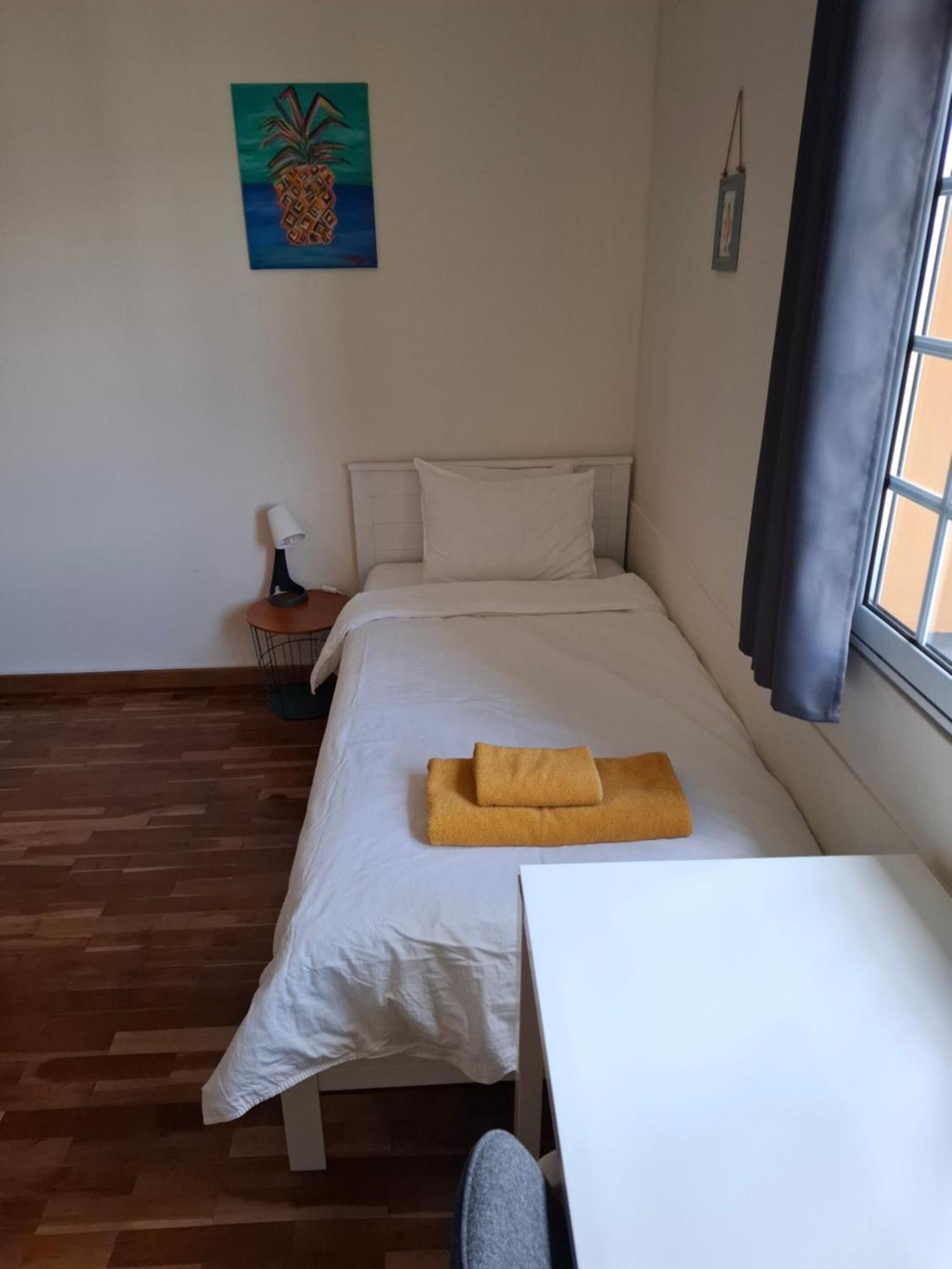 Lava Acores Coliving & Coworking Ribeira Grande Εξωτερικό φωτογραφία